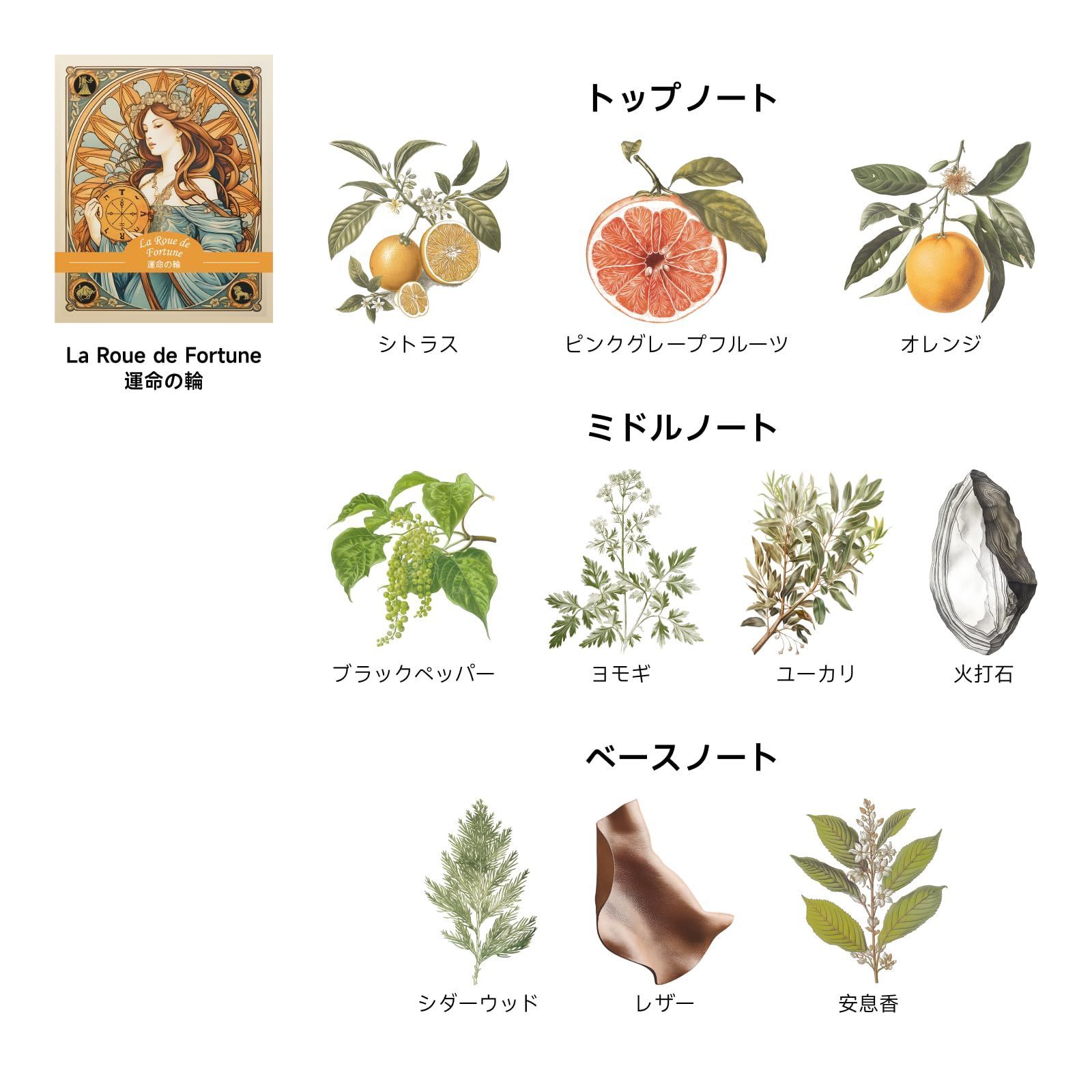 タロット幸運シリーズ