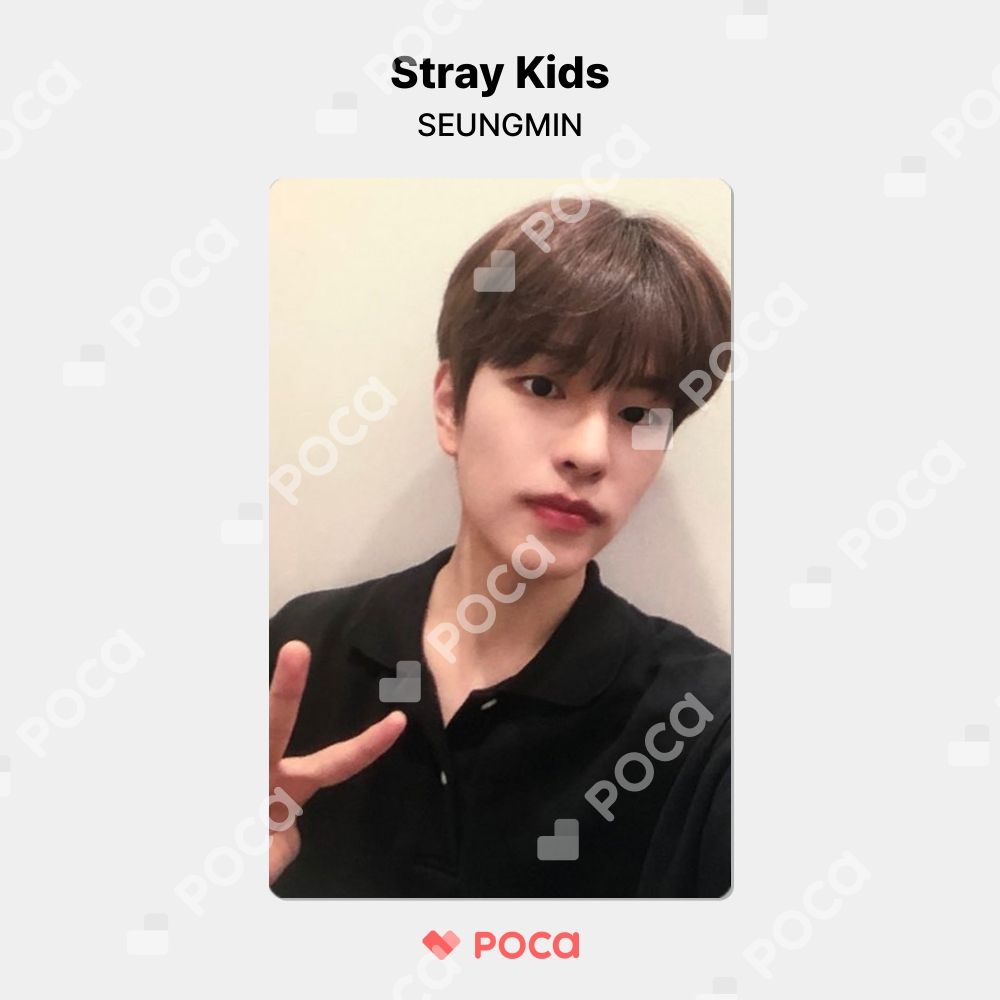 CD straykids スキズ スンミン noeasy subk 特典 トレカ