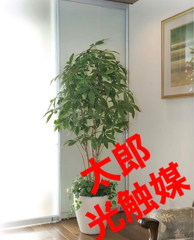 光触媒 人工観葉植物 ウォールグリーン フェイクグリーン ゴムの木1.25
