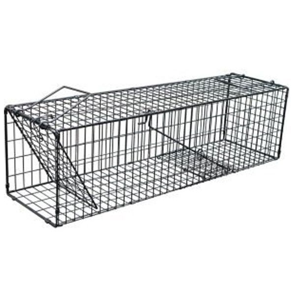 7営業日以内発送 コンパル 4935682030631 スーパー捕獲器 L ブラック スーパー捕獲器ブラック タイワンリス捕獲 小動物捕獲器 イタチ 踏み板式仕様 Lサイズ 沖縄離島販売不可