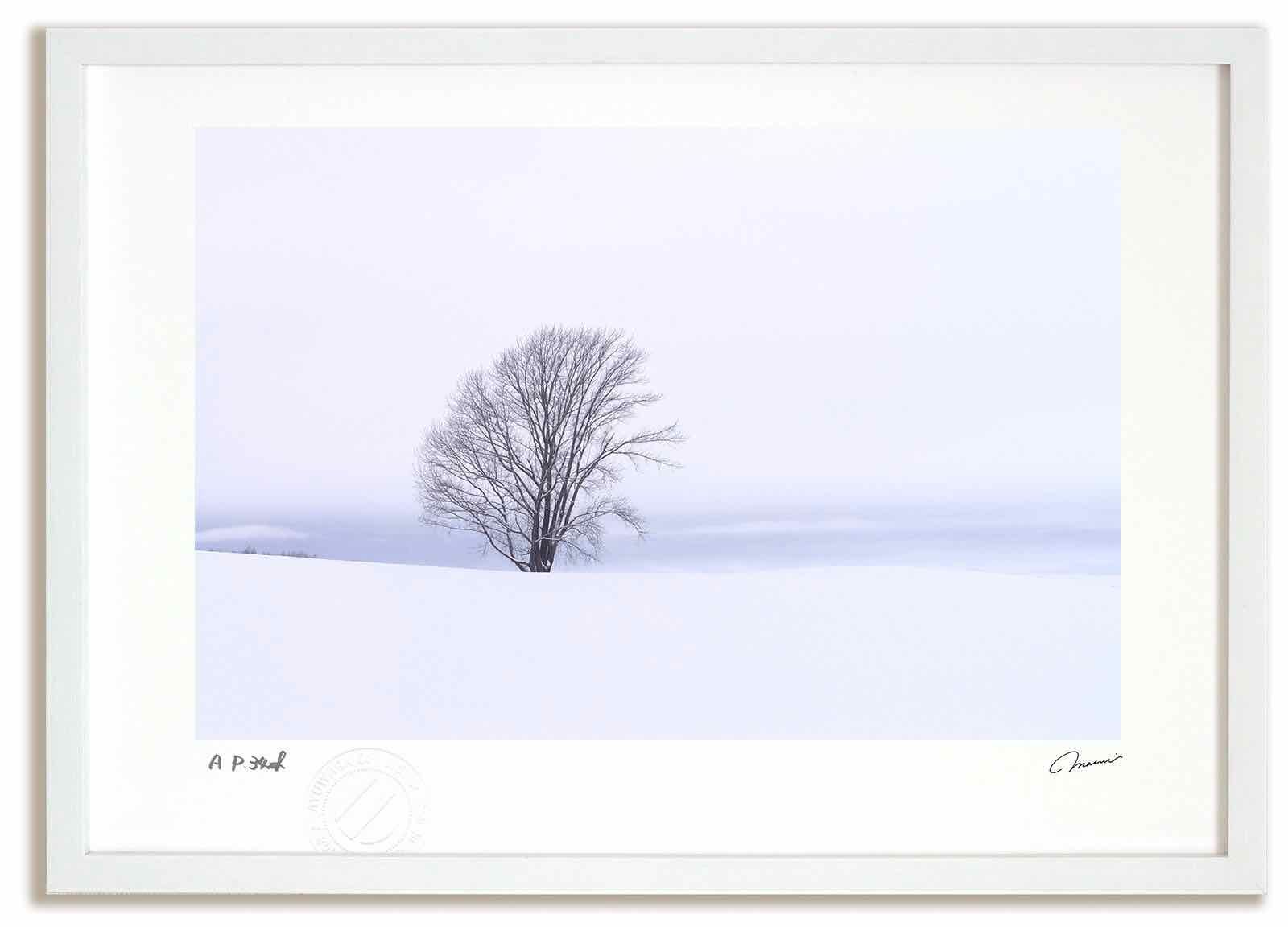 アートフォト 絵画 哲学の木7 高橋真澄 インテリア 額入り 額装込 風景画 油絵 ポスター アート アートパネル リビング 玄関 プレゼント モダン アートフレーム 飾る Mサイズ おしゃれ 壁掛け 絵