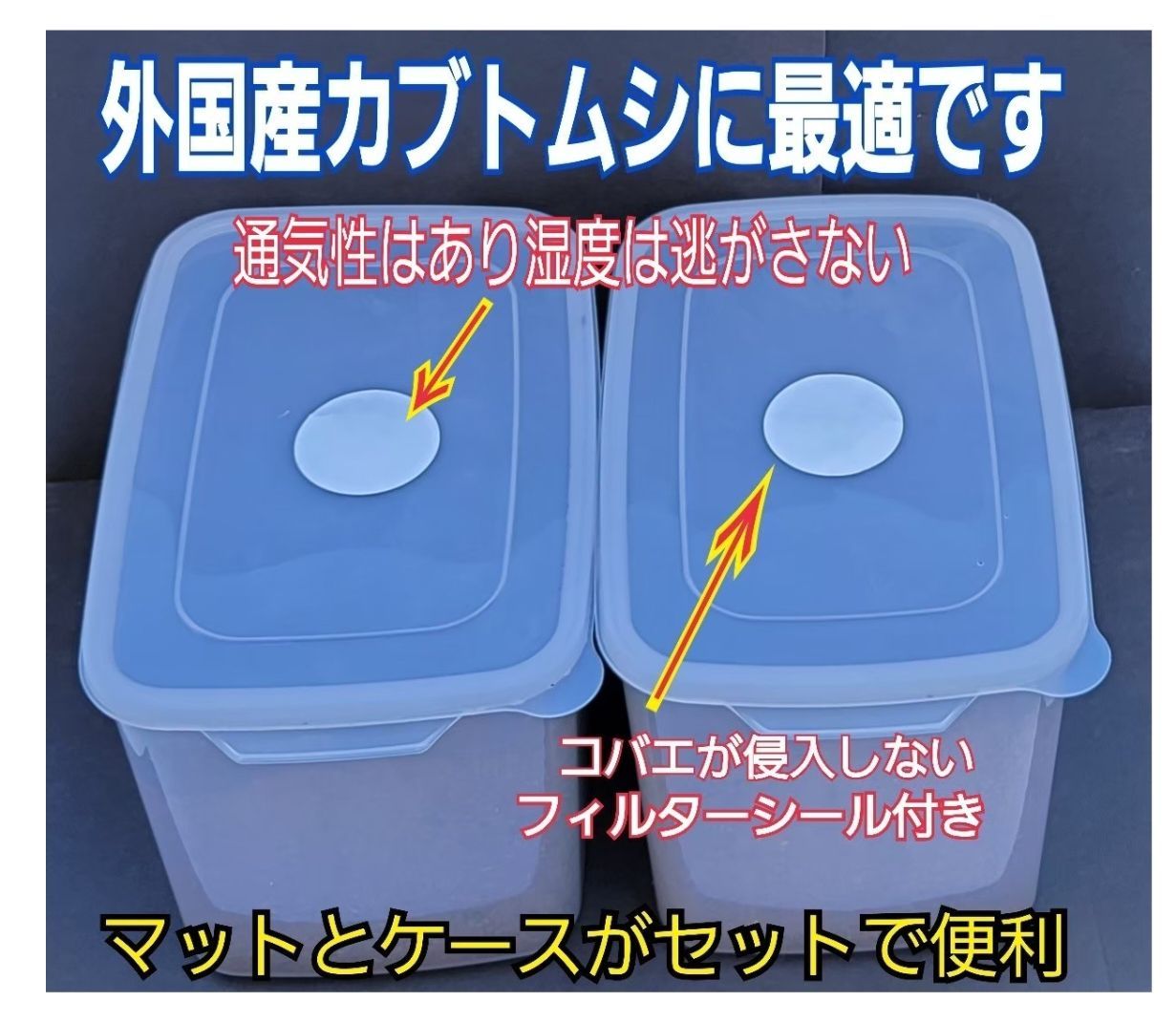 カブトムシ幼虫を入れるだけ！便利！プラケース入りプレミアム