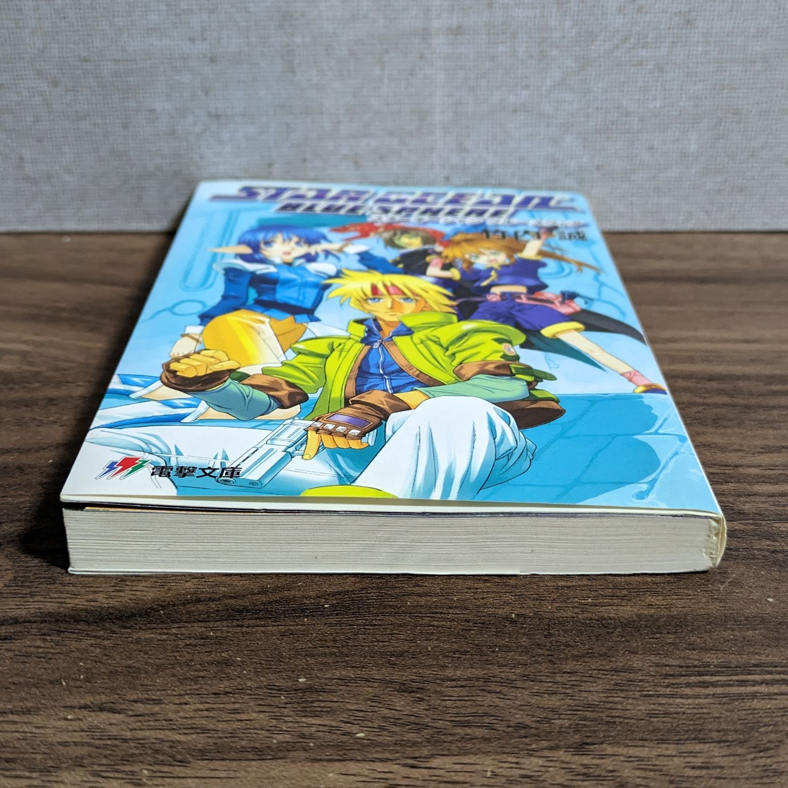小説 スターオーシャン ブルースフィア 竹内誠 初版 電撃文庫 Amazon.co.jp: スターオーシャンブルースフィア (電撃文庫 J 26