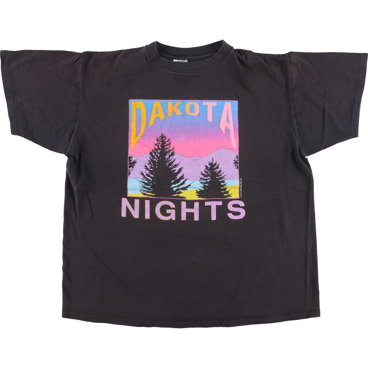 古着 80年代 DELTA プリントTシャツ USA製 メンズXL ヴィンテージ/eaa456381