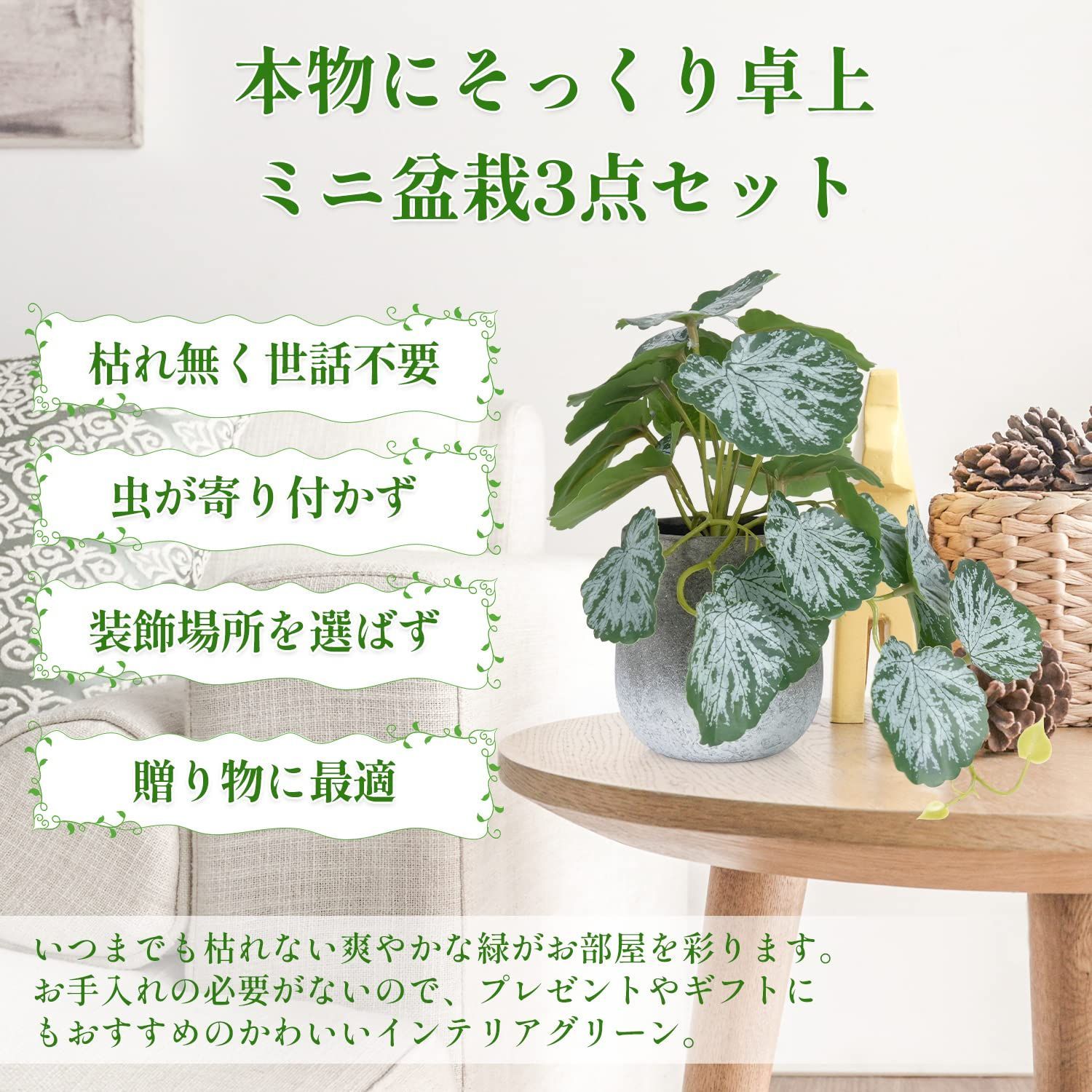人気商品】鉢 植物 水やり不要 緑 おしゃれ お世話不要 小さい鉢植え 