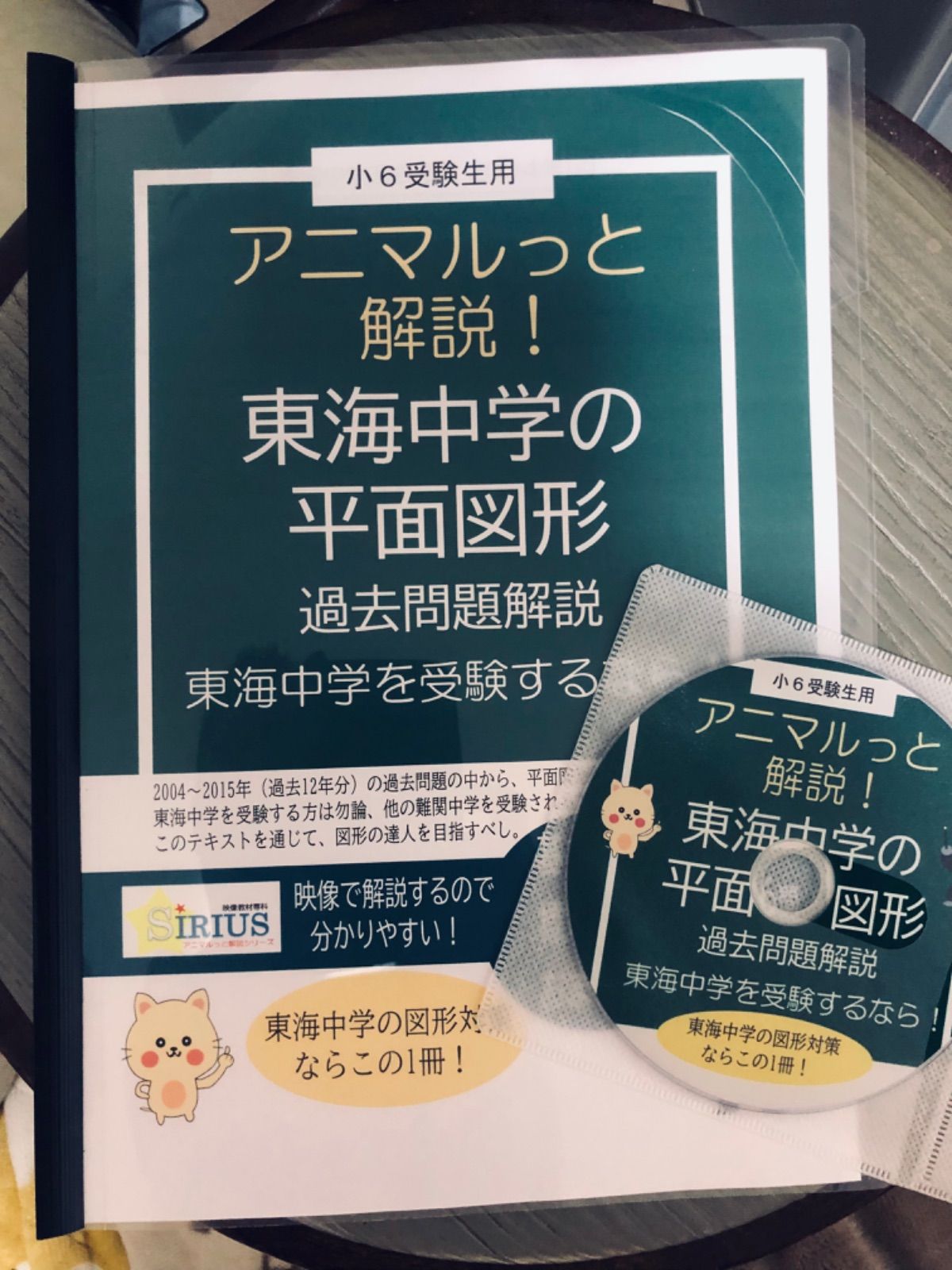 アニマルっと解説【東海中の平面図形】