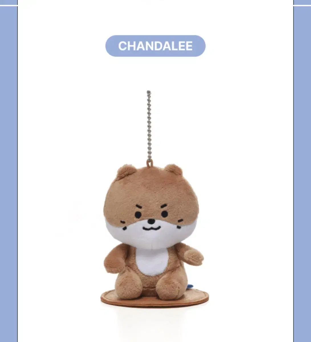 seventeen ミニティーン　チャンダリ　ディノ　セット　DINO seventeen ミニティーン チャンダリ ディノ セット DINO SEVENTEEN