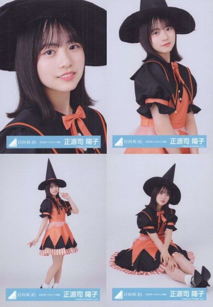 櫻坂46 生写真 597枚 まとめ売り 櫻坂46 生写真 597枚 まとめ売り 櫻坂