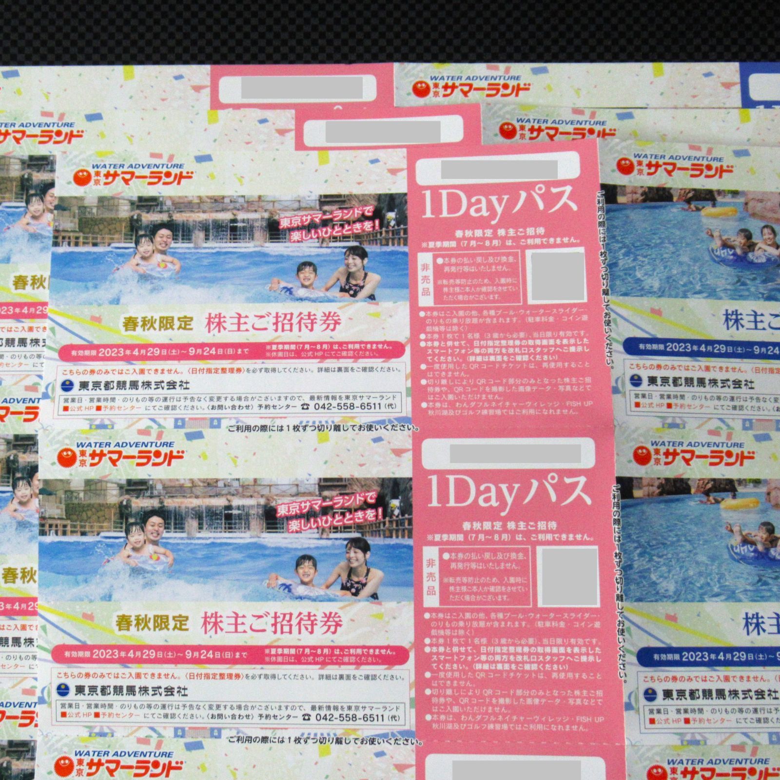 東京サマーランド「春秋限定」株主ご招待券 1Dayパス 4枚 東京サマーランド「春秋限定」株主ご招待券 1Dayパス 4枚