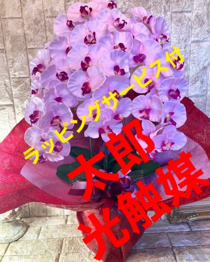 光触媒 人工観葉植物 ウォールグリーン フェイク フラワー 胡蝶蘭p78