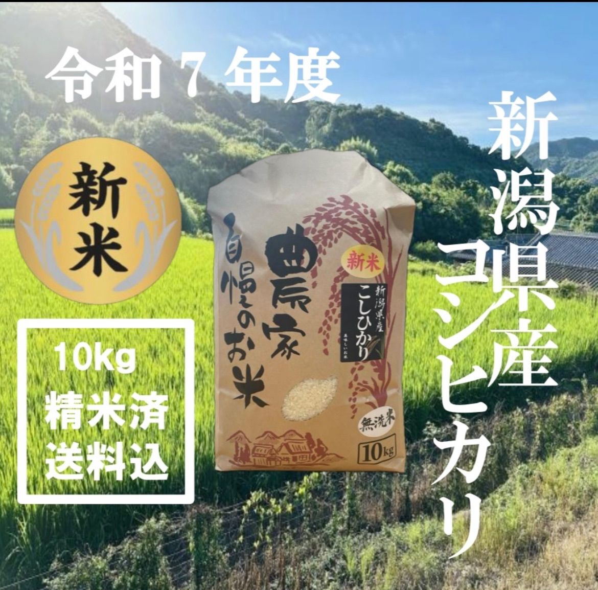 新米 令和7年度産 新潟県産コシヒカリ 産地直送 100％白米 無洗米 精米済 10ｋｇ