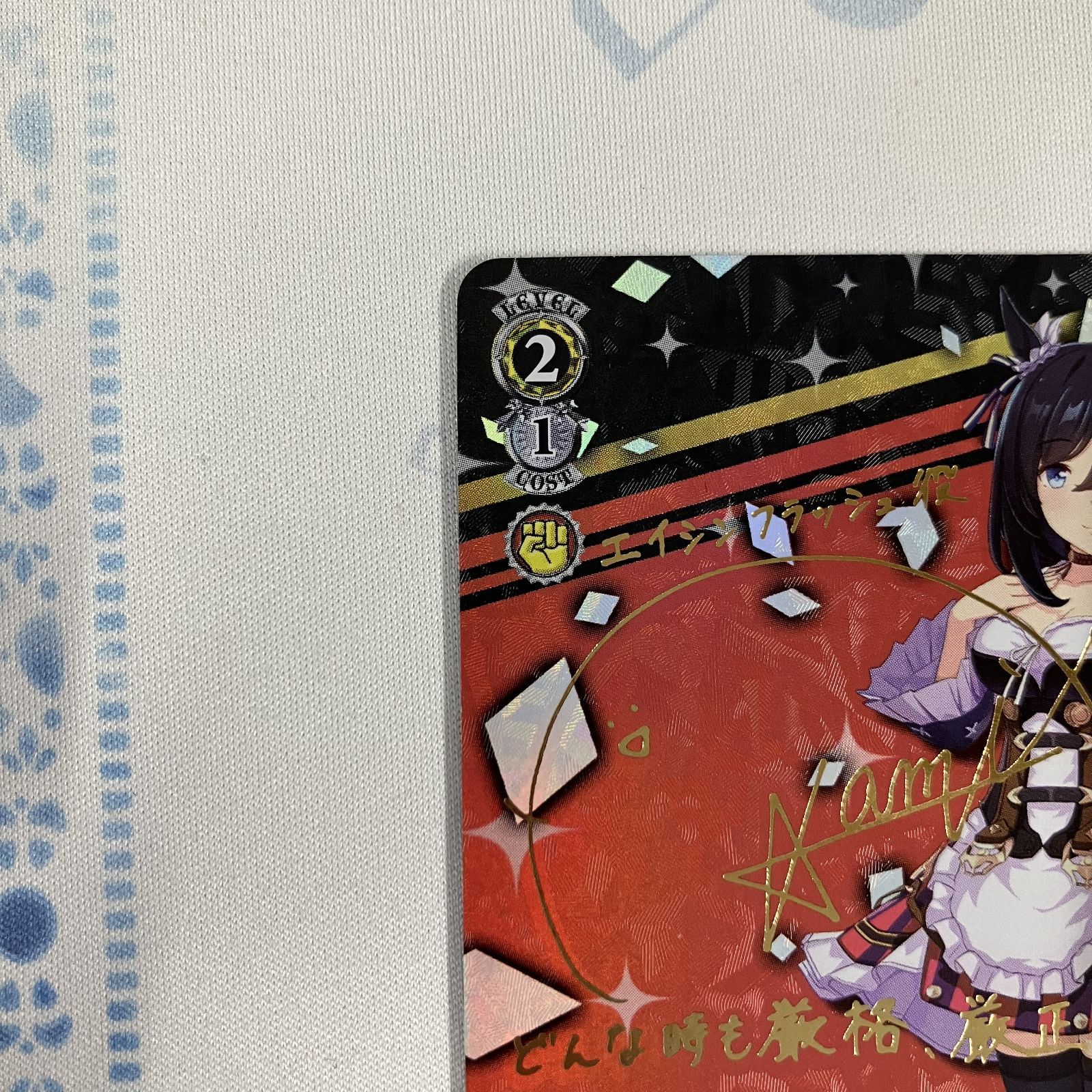 むつ543-0417】ヴァイスシュヴァルツ Meisterschaft エイシン