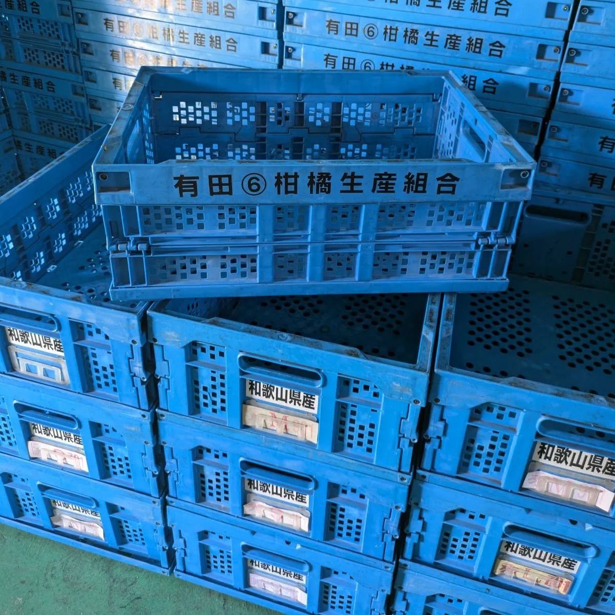 530×366