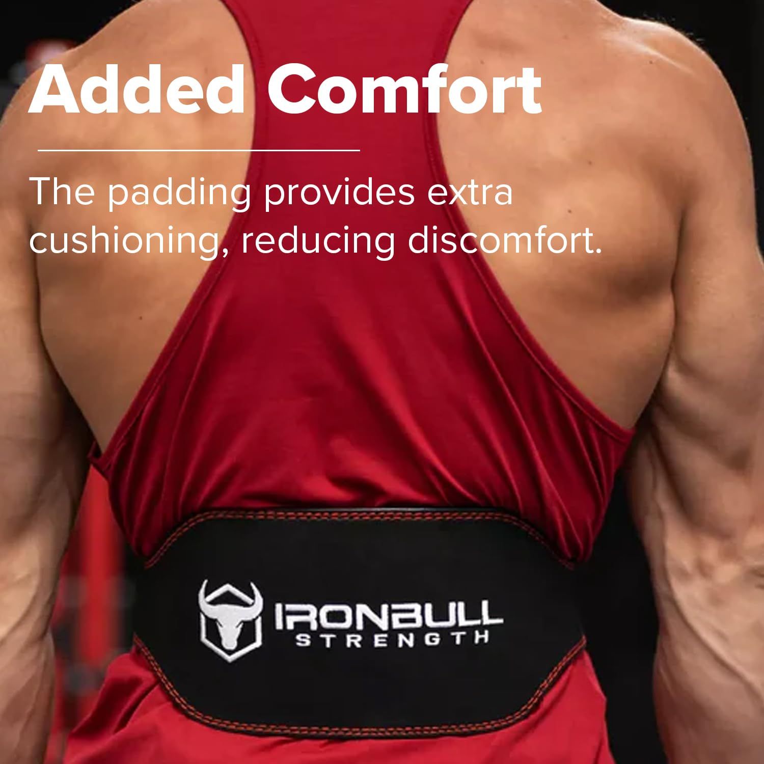 Iron Bull Strength トレーニングベルト 6インチパッド入り