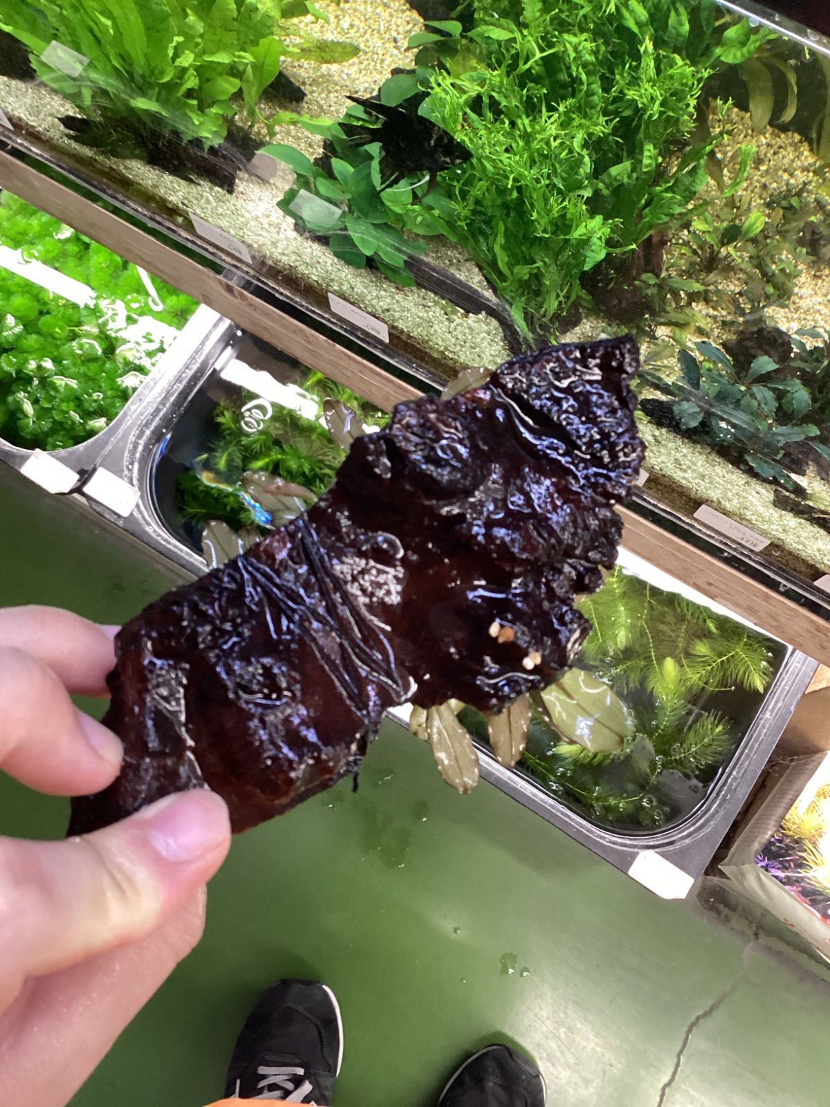 ぴーーす確認用 はぴｅみる電」トップ [関西電力]