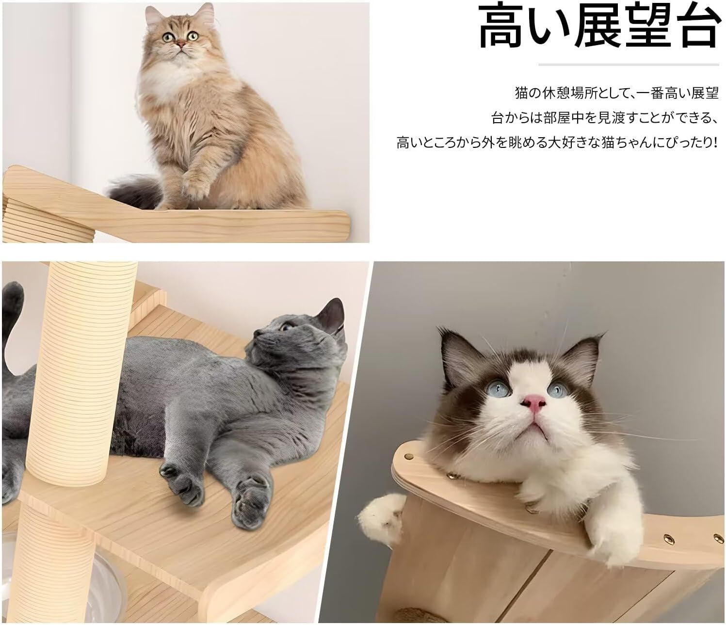 宇宙船透明ハンモック付 登りやすい