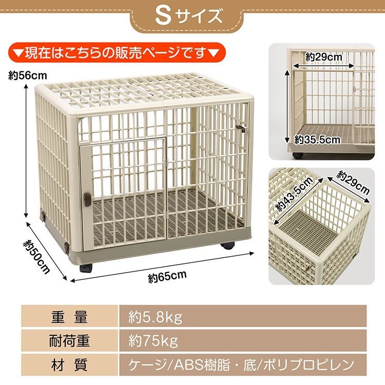 小型犬 うさぎ