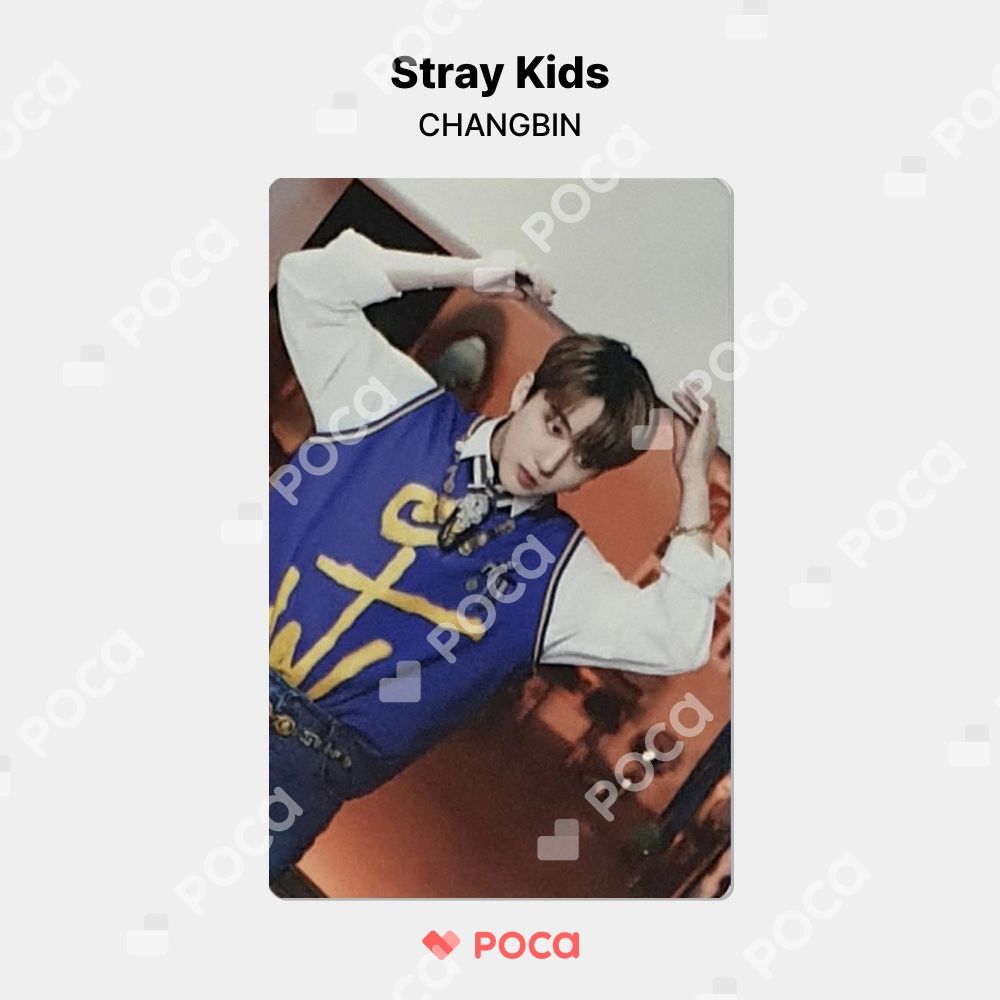 straykids チャンビン スキズ トレカ STRAY KIDS x SKZOO POP-UP