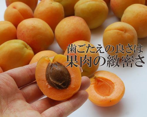 配送先