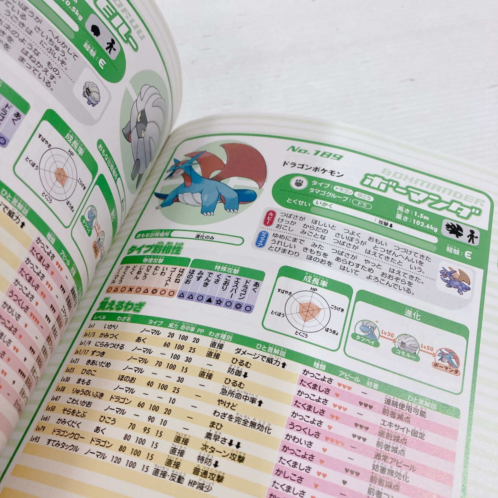 ポケモン大全集 ポケモンずかんBook 冒険マップ ルビーサファイア 攻略