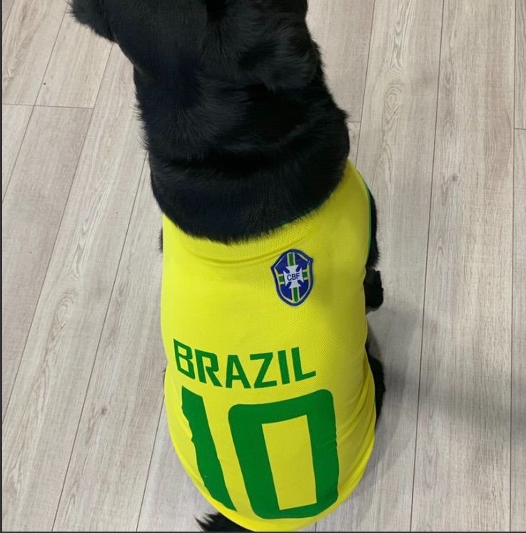 アルゼンチン代表 ペットユニフォームXLサイズ1点のみ入手困難 Adidas
