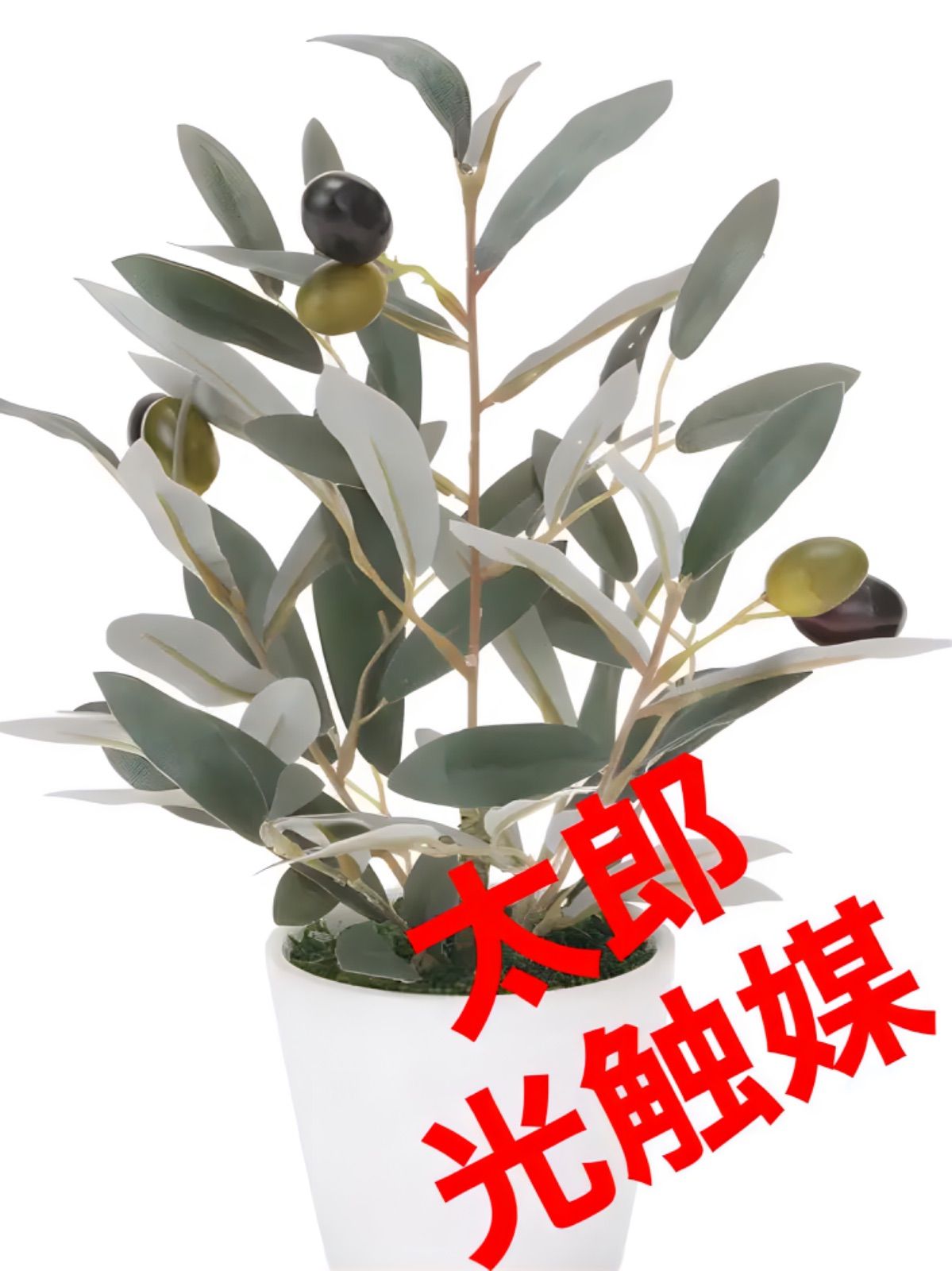 光触媒 人工観葉植物 ウォールグリーン フェイクグリーン ミニオリーブ