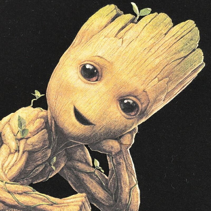 groot 販売済み グッズ