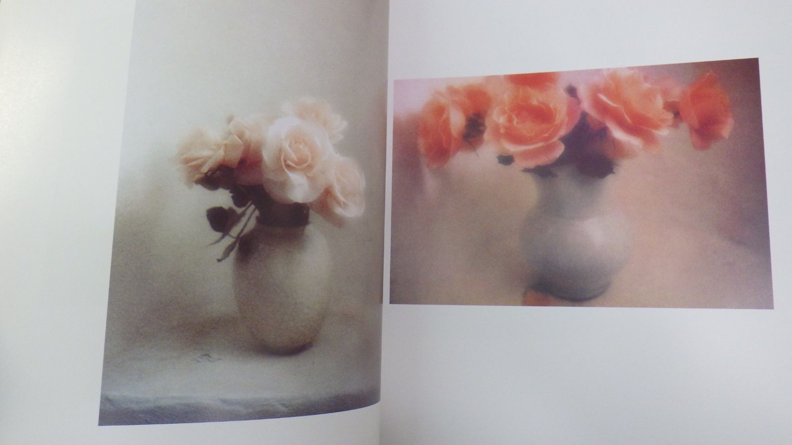 アート・デザイン・音楽 David Hamilton Jardin Secret DAVID HAMILTON JARDIN SECRET/1981年発行/デビッド・ハミルトン
