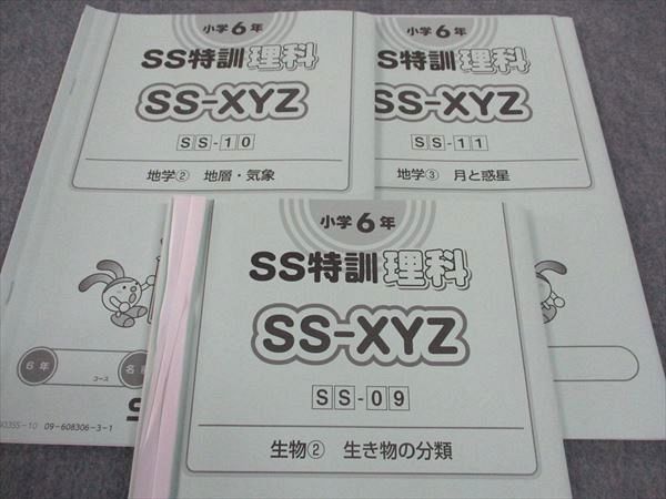 WM05-086 SAPIX サピックス 小6年 SS特訓 理科 SS-XYZ 早稲田学院 