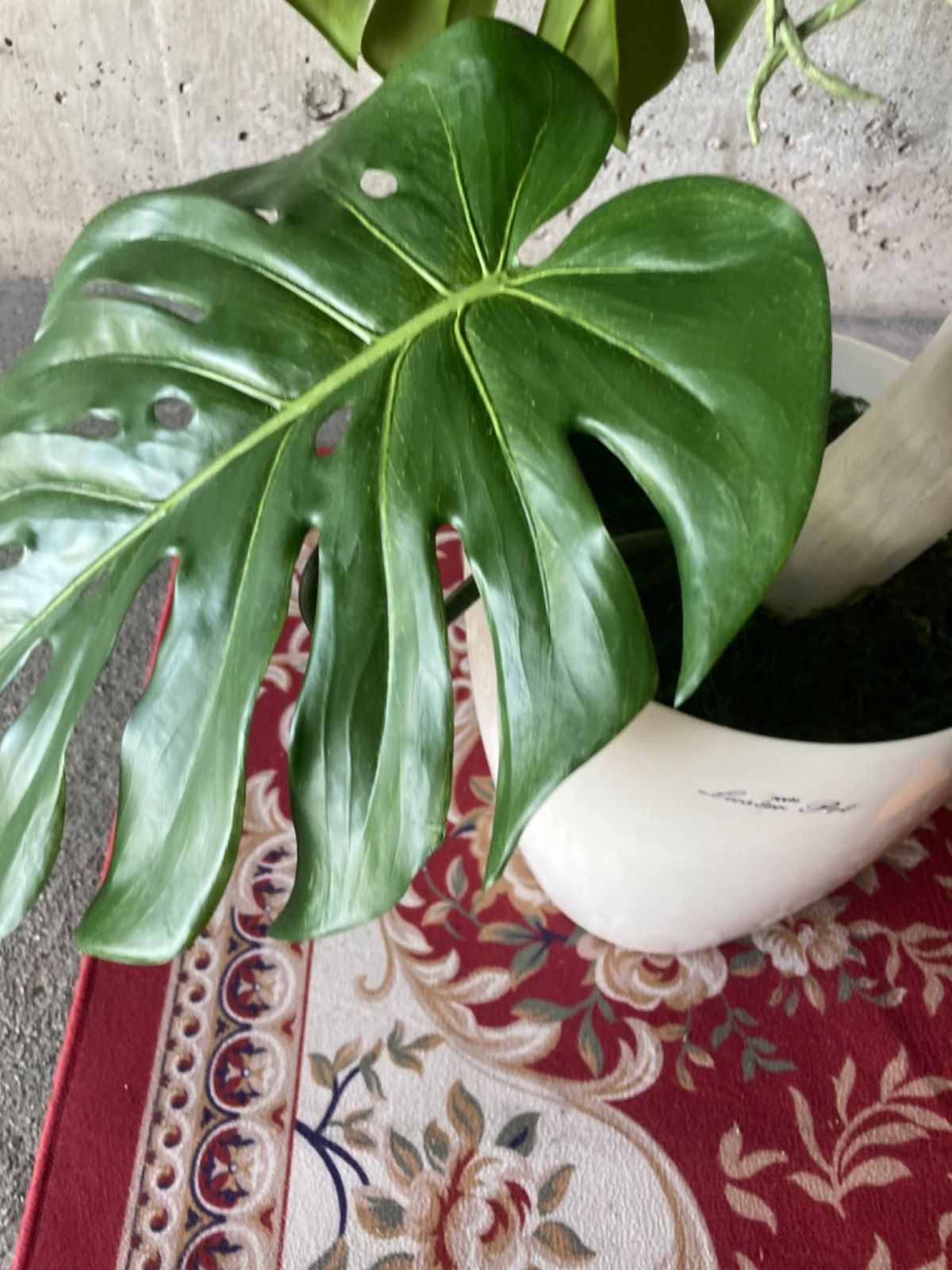 光触媒 人工観葉植物 ウォールグリーン フェイクグリーン モンステラ 