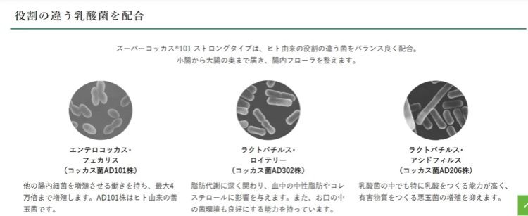 新 スーパーコッカス101 ストロング 1箱100包入 コッカス菌増量 - メルカリ