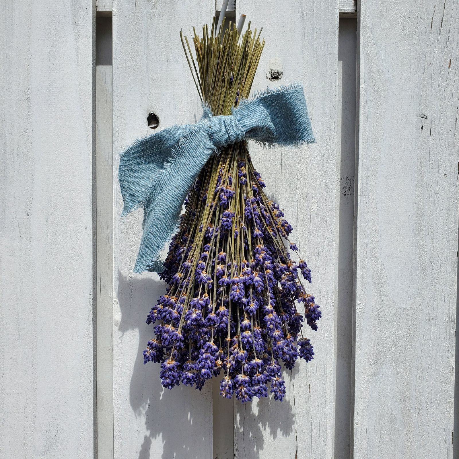 la.lira 富良野産ドライフラワー ラベンダー濃紫260本 - メルカリ