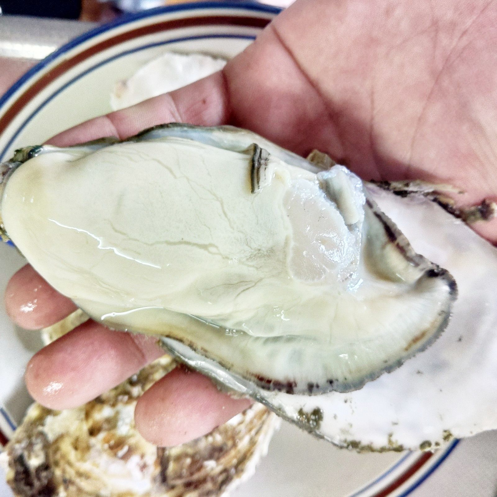 生食用