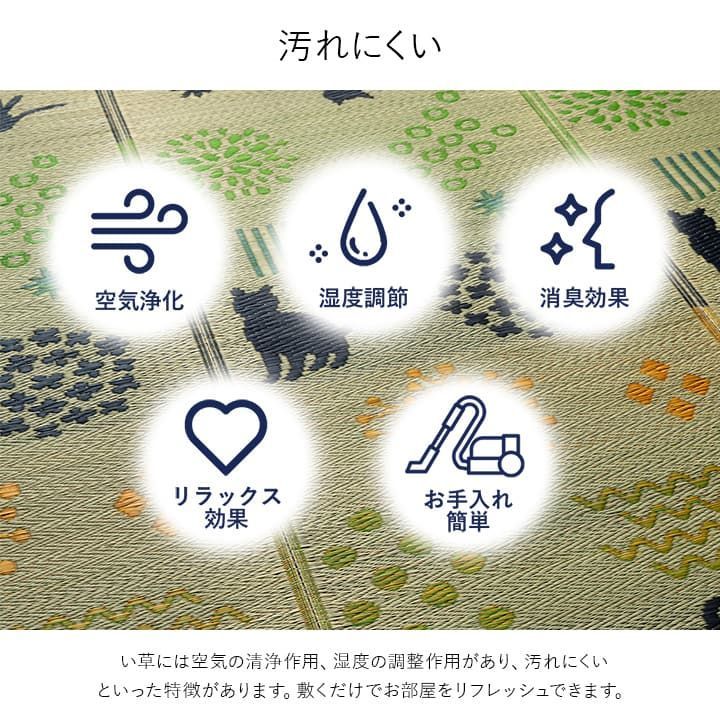 い草ラグ