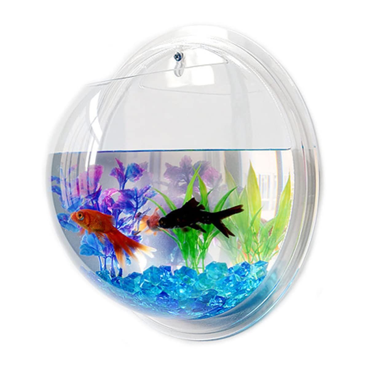 壁掛け水槽 吊り下げ金魚鉢 壁掛け水槽 金魚鉢- 壁掛けアクリル Mipcase