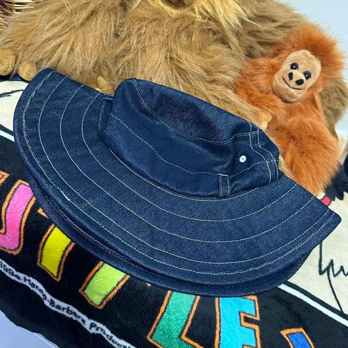 KARL KANI