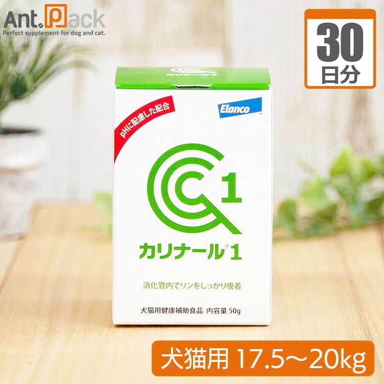 遊戯王　ブルーアイズホワイトドラゴン　カプモン付属品　NFS表記無し 遊戯王 ブルーアイズホワイトドラゴン カプモン付属品 NFS表記無し