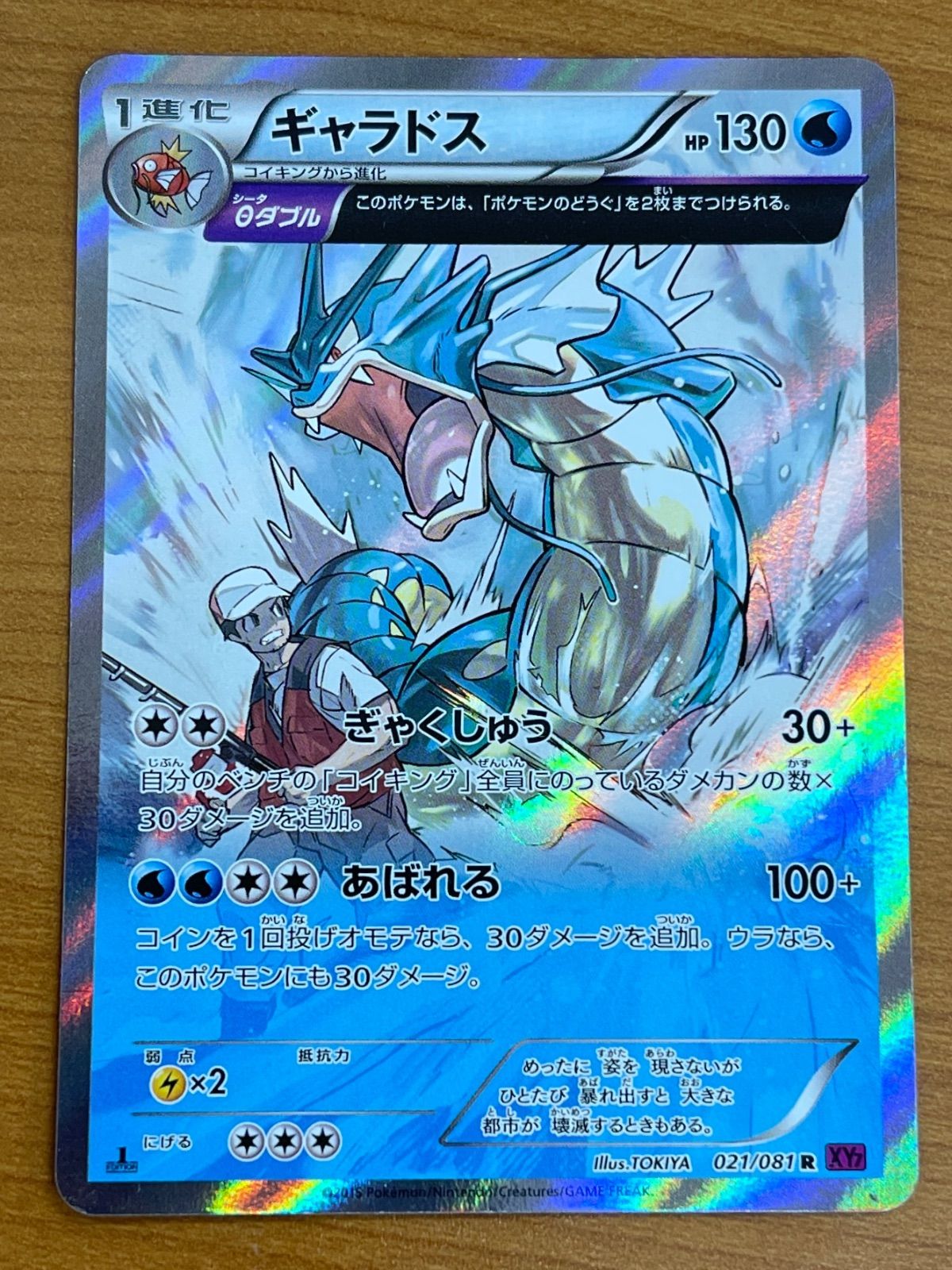 シ*ン様 ポケモンカード☆[極美品]ギャラドス(R)水〈021/081〉[XY7 ギャラドス(021/081 R) | R | ドラゴンスター ネット買取