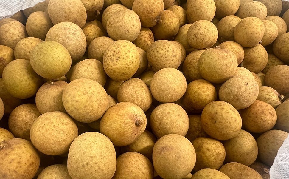 生龍眼 約2kg ベトナム産 新品、未使用 - メルカリ