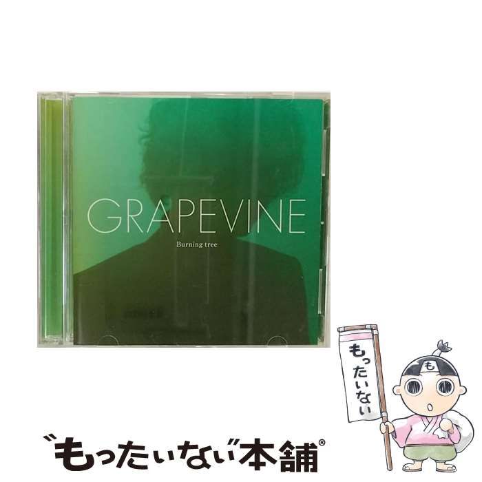 【中古】 Burning tree （初回限定盤） / GRAPEVINE /