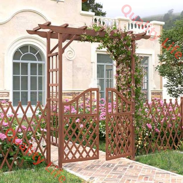 登山植物 芝生パティオ