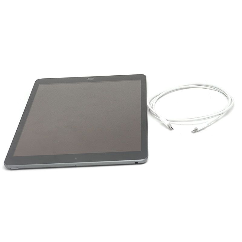 Apple iPad