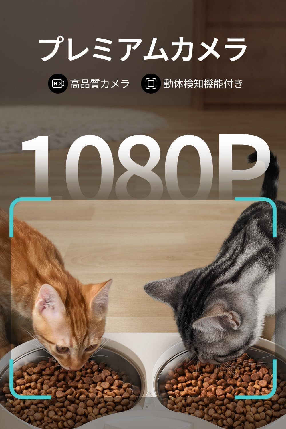 多頭飼い
