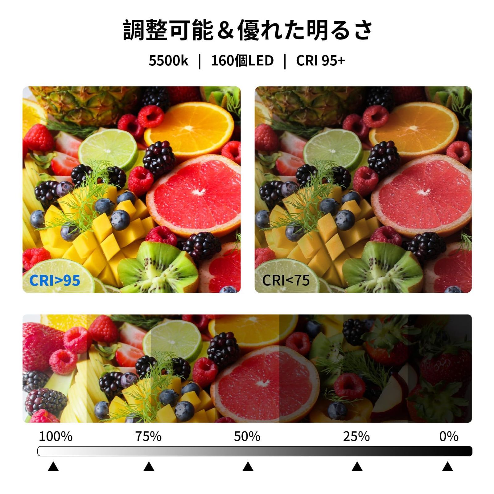 6色撮影用バックペーパー付き