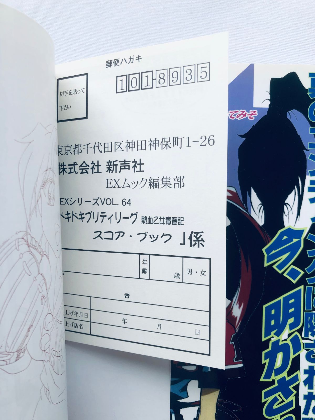 ドキドキプリティリーグ 熱血乙女青春記 スコアブック 攻略本 ガイド