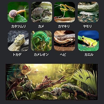 在庫処分】爬虫類 ケージ12*12*20cm 爬虫類 飼育ケース 温度湿度計付き ピンセット、フードボウル 爬虫類テラリウムタンク 昆虫飼育ケース  透明 通気ケージ 給餌箱 飼育容器アクリル 換気が良い亀 トカゲ ヤモリ ボックス蜘蛛 サソリハリネズ - メルカリ