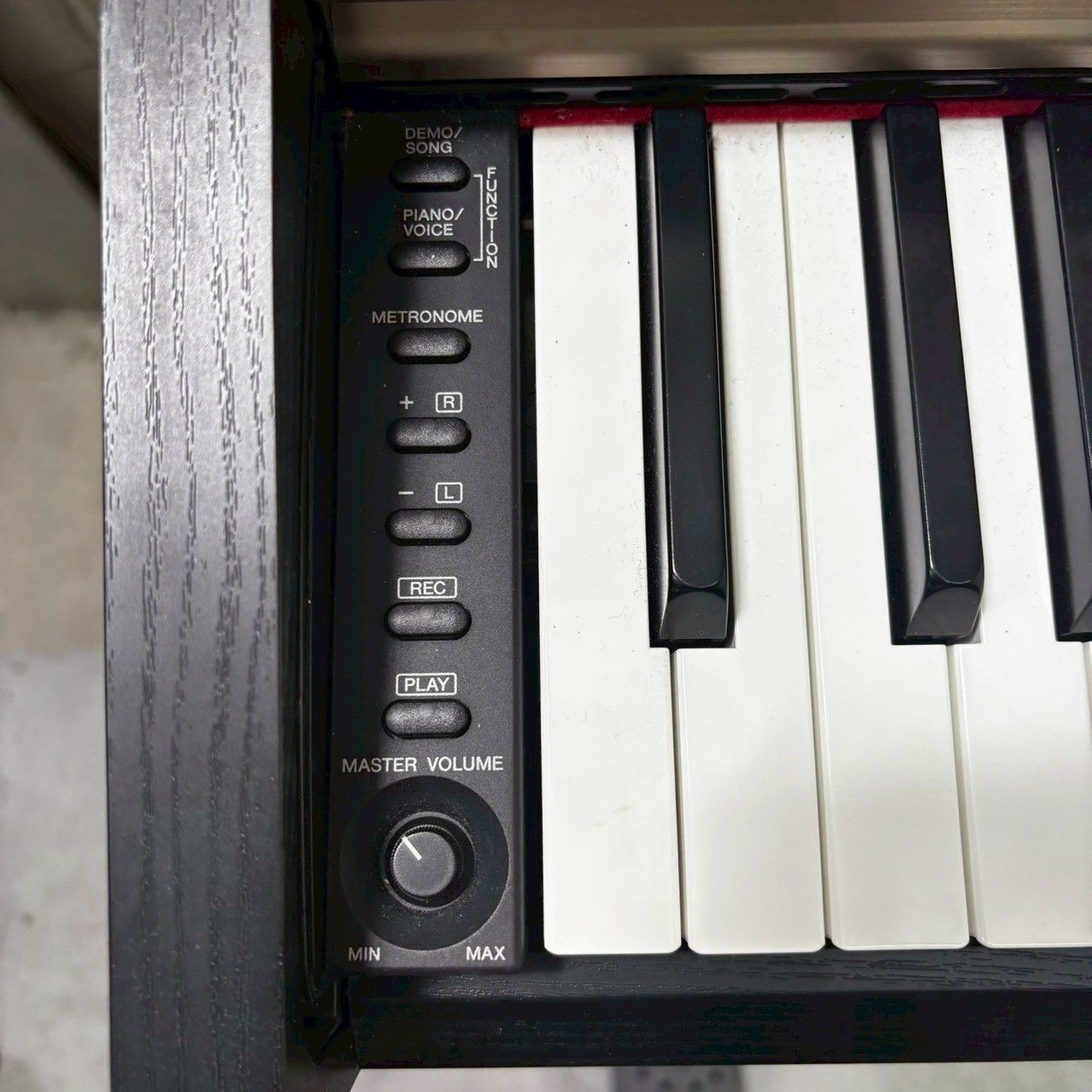 アリウス YDP-161