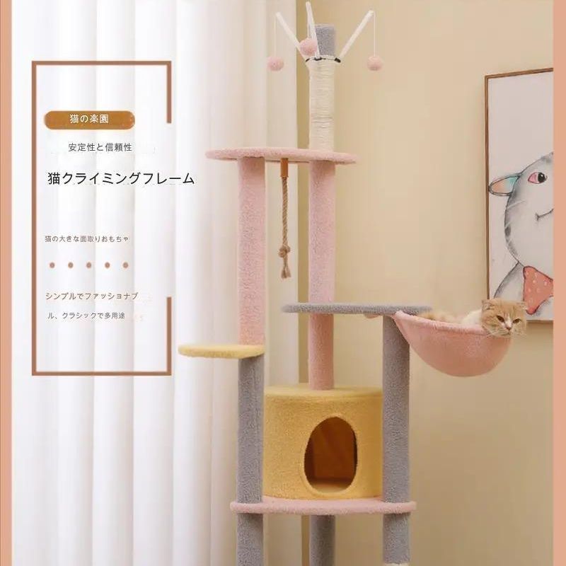大型猫 おしゃれ