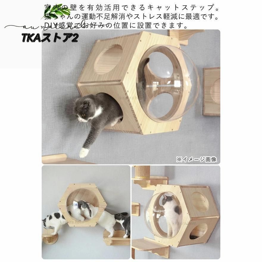 ハウス ハンモック