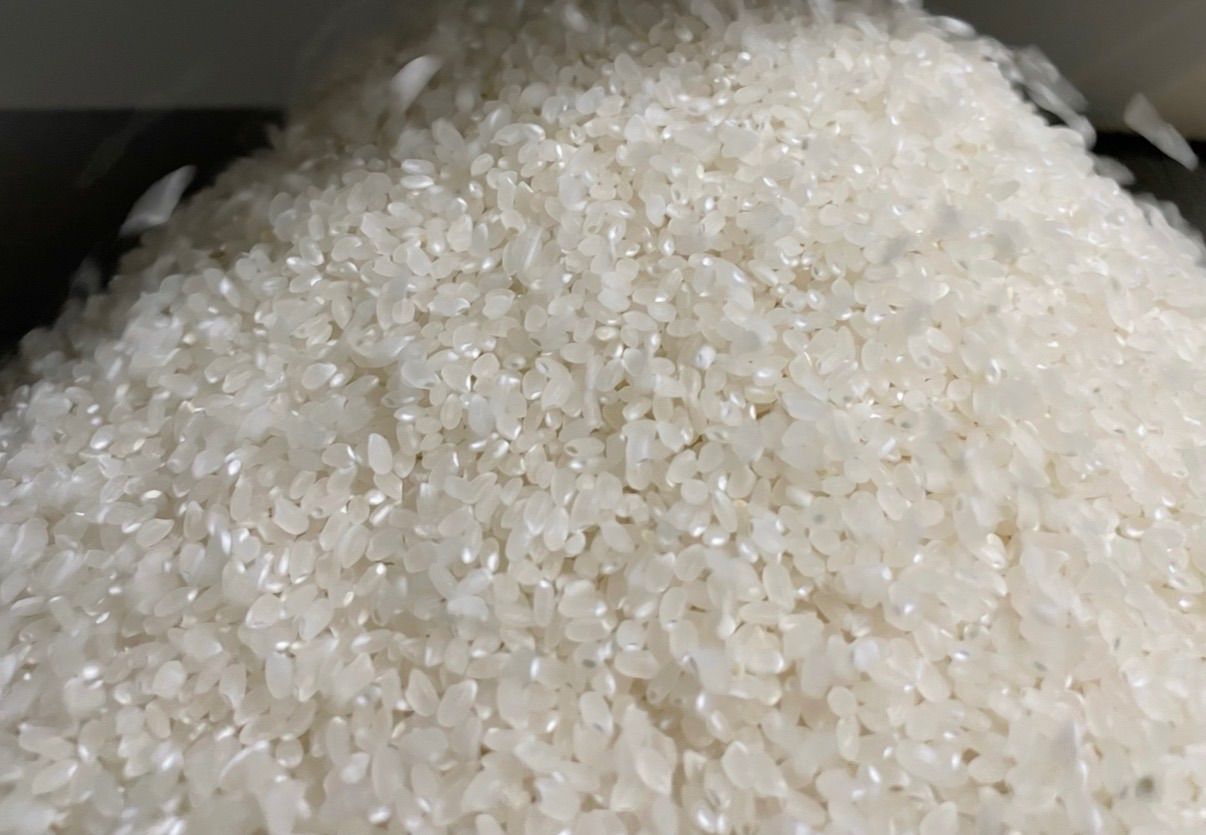 福井県産コシヒカリ 30kg 白米 こしひかり 産 令和7年 美味しい 精米